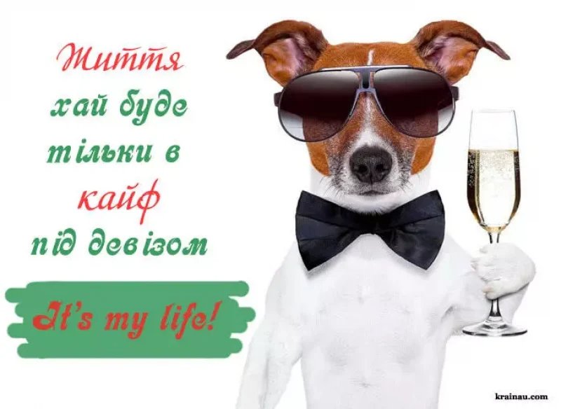 прикольні картинки з днем народження для мужчині